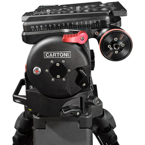 Cartoni Master head 4